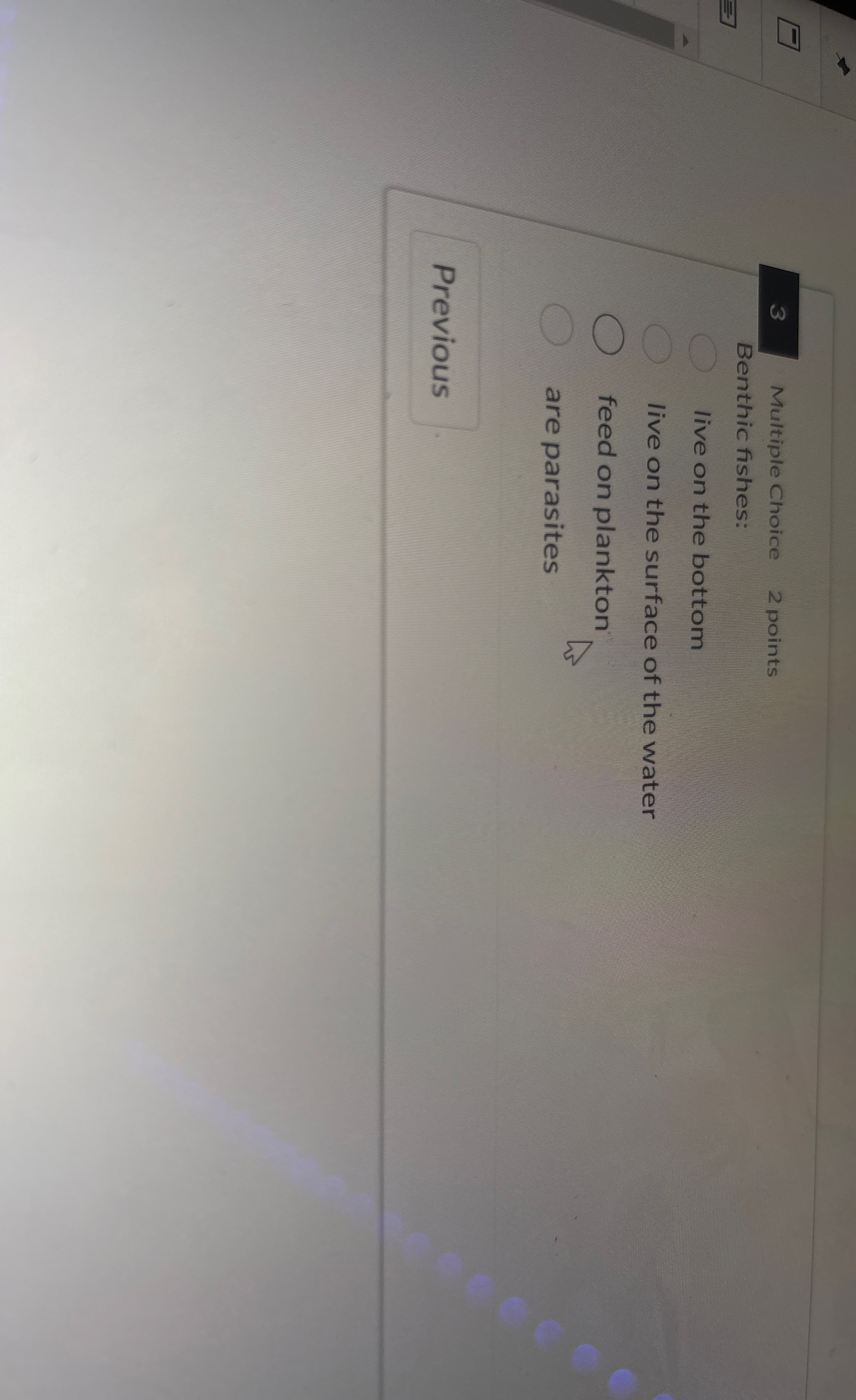 3 Multiple Choice 2 points Benthic fishes: live