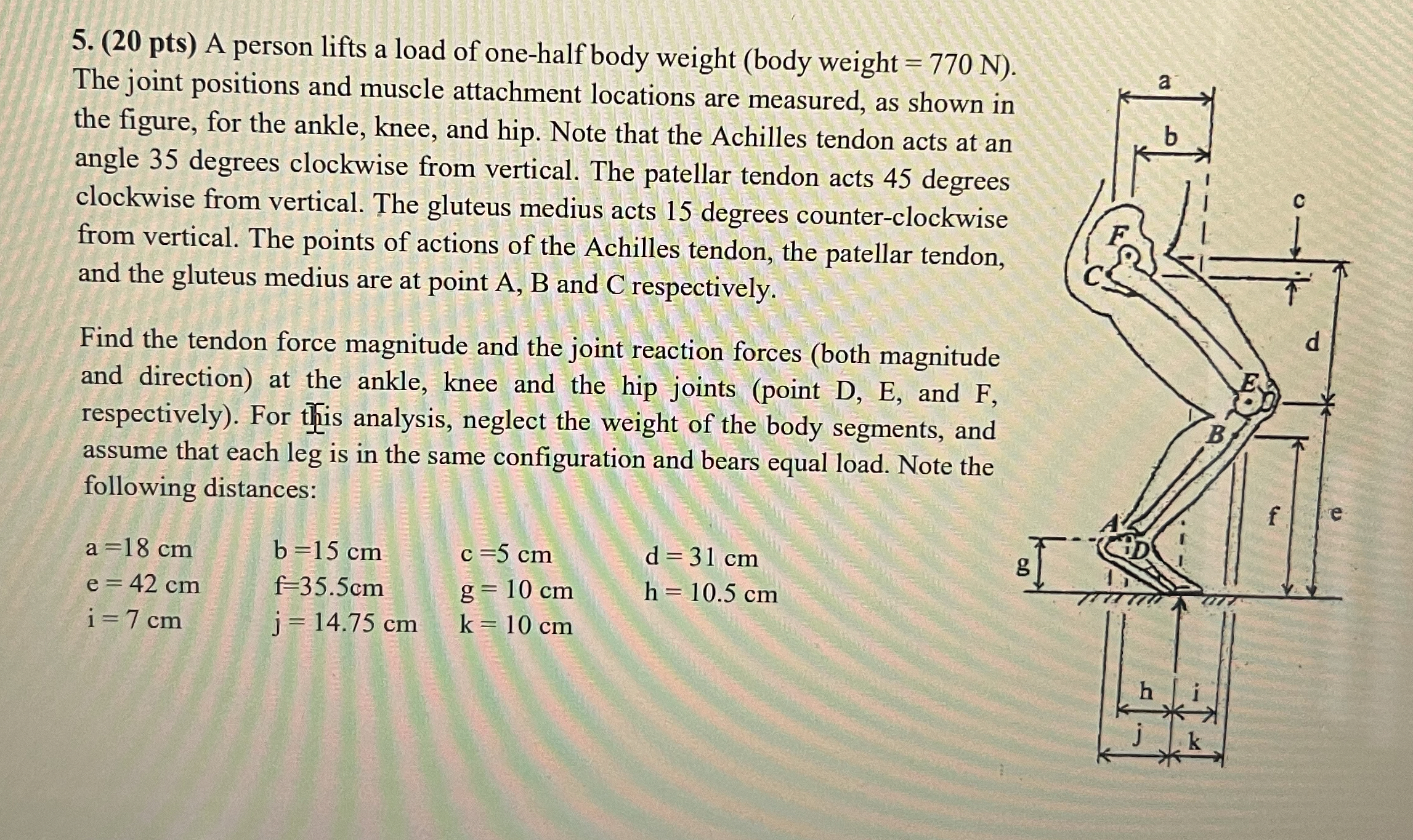 ( 2 0 p t s ) A person lifts a load of one - half