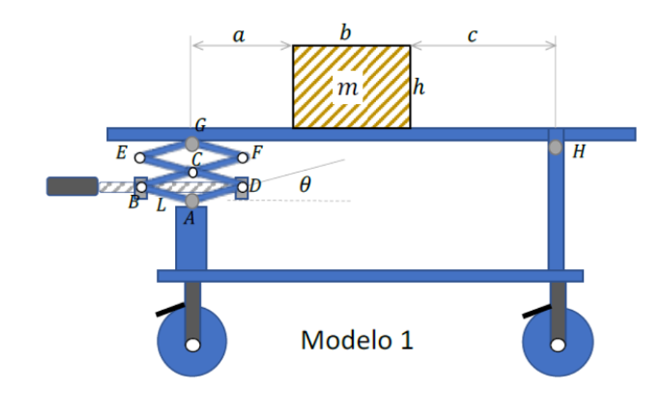 Create the free body diagram of the model