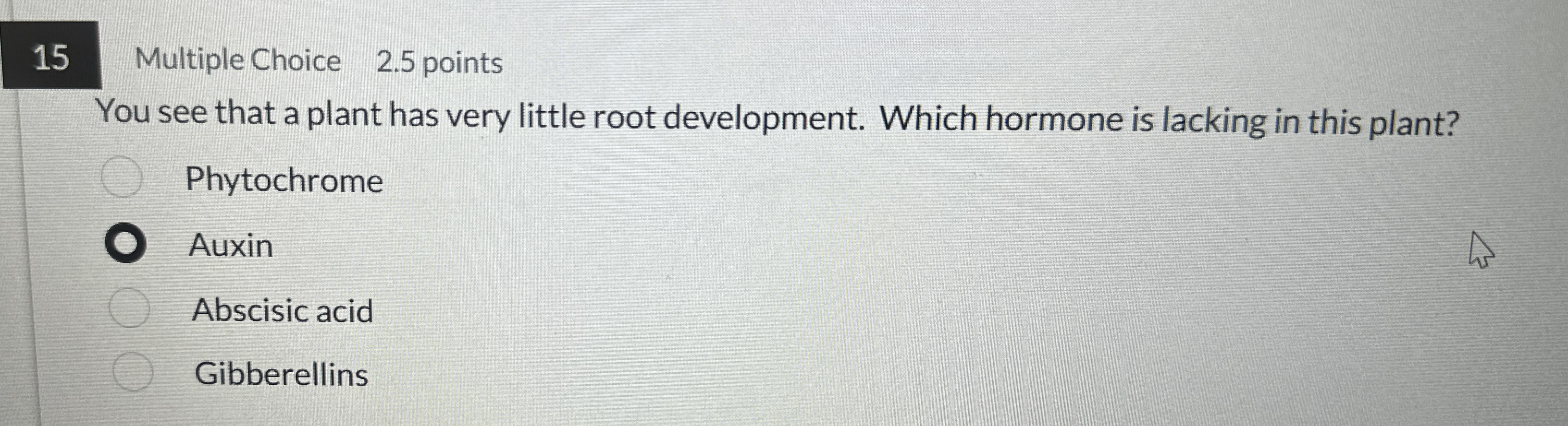 1 5 Multiple Choice 2 . 5 points You see that a
