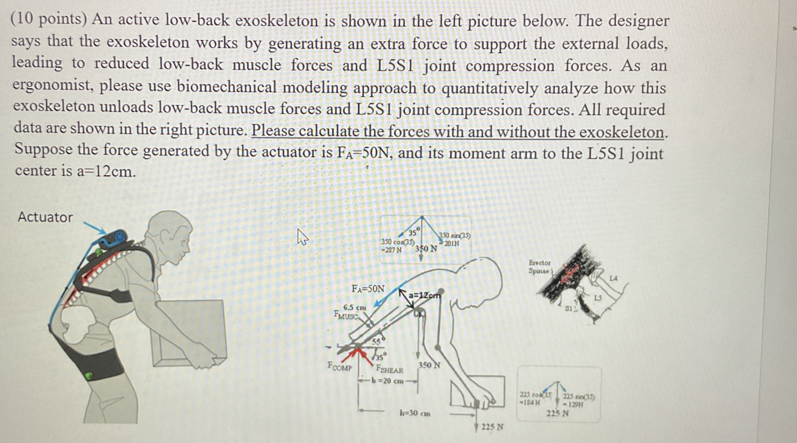 ( 1 0 points ) An active low - back exoskeleton