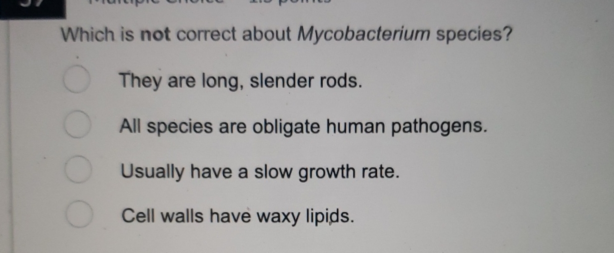 Which is not correct about Mycobacterium species?