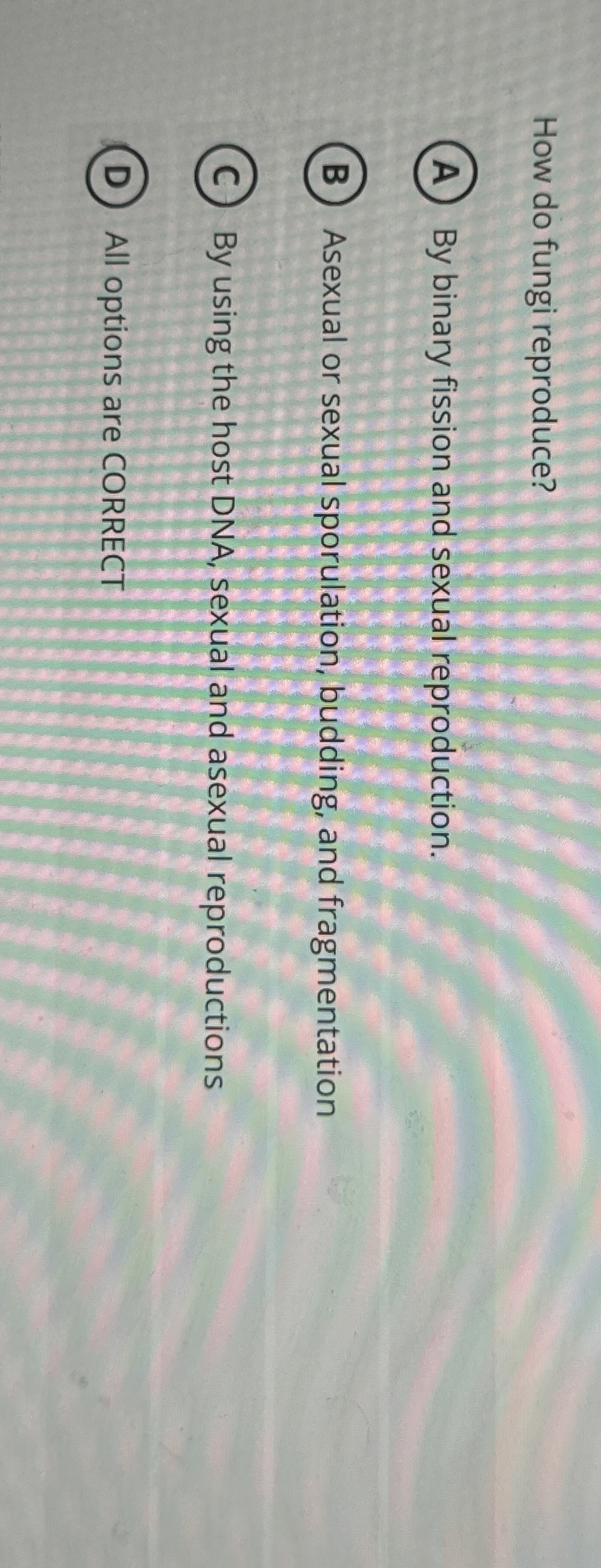 How do fungi reproduce? By binary fission and