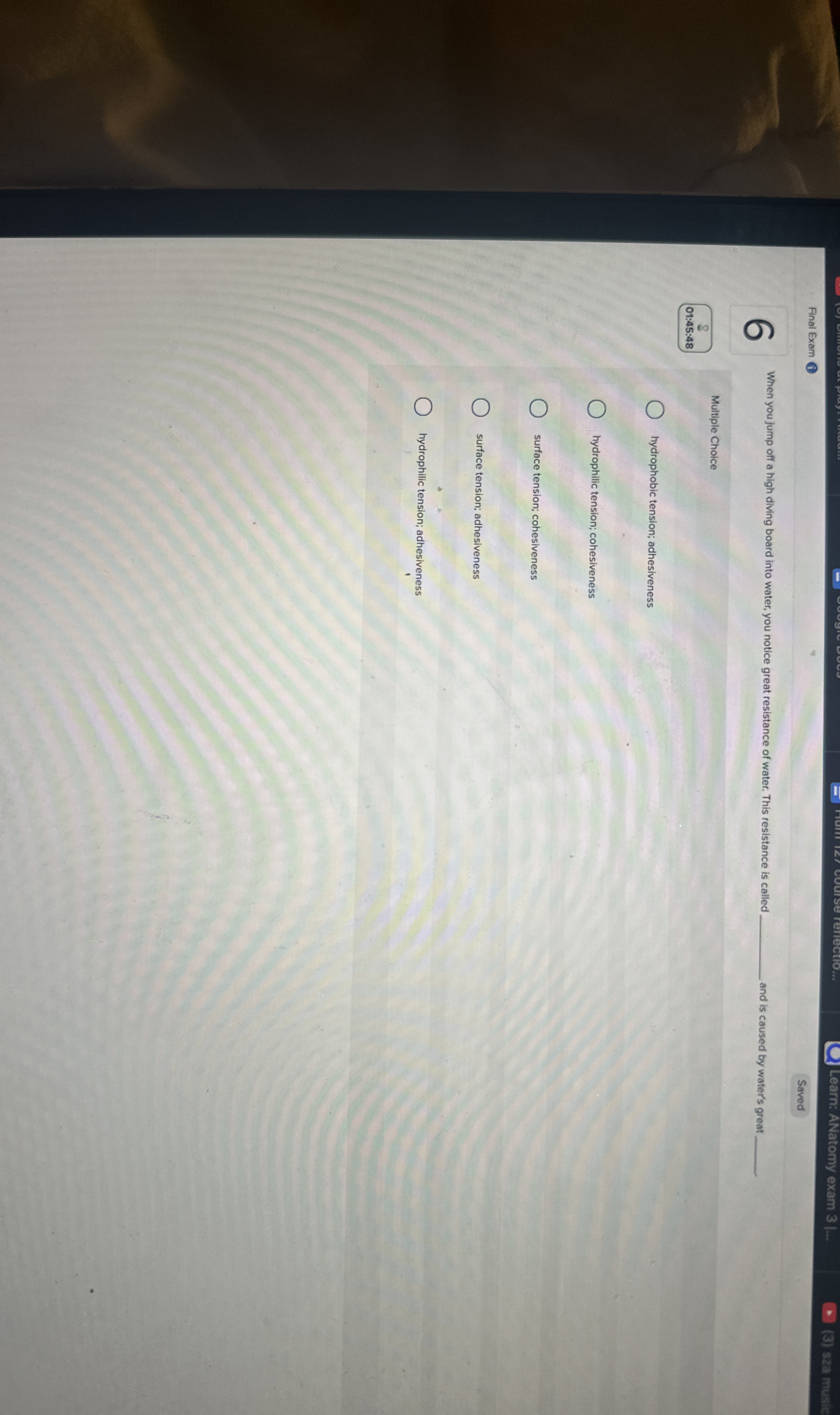 Learn: ANatomy exam 3 | . . . ( 3 ) sza music