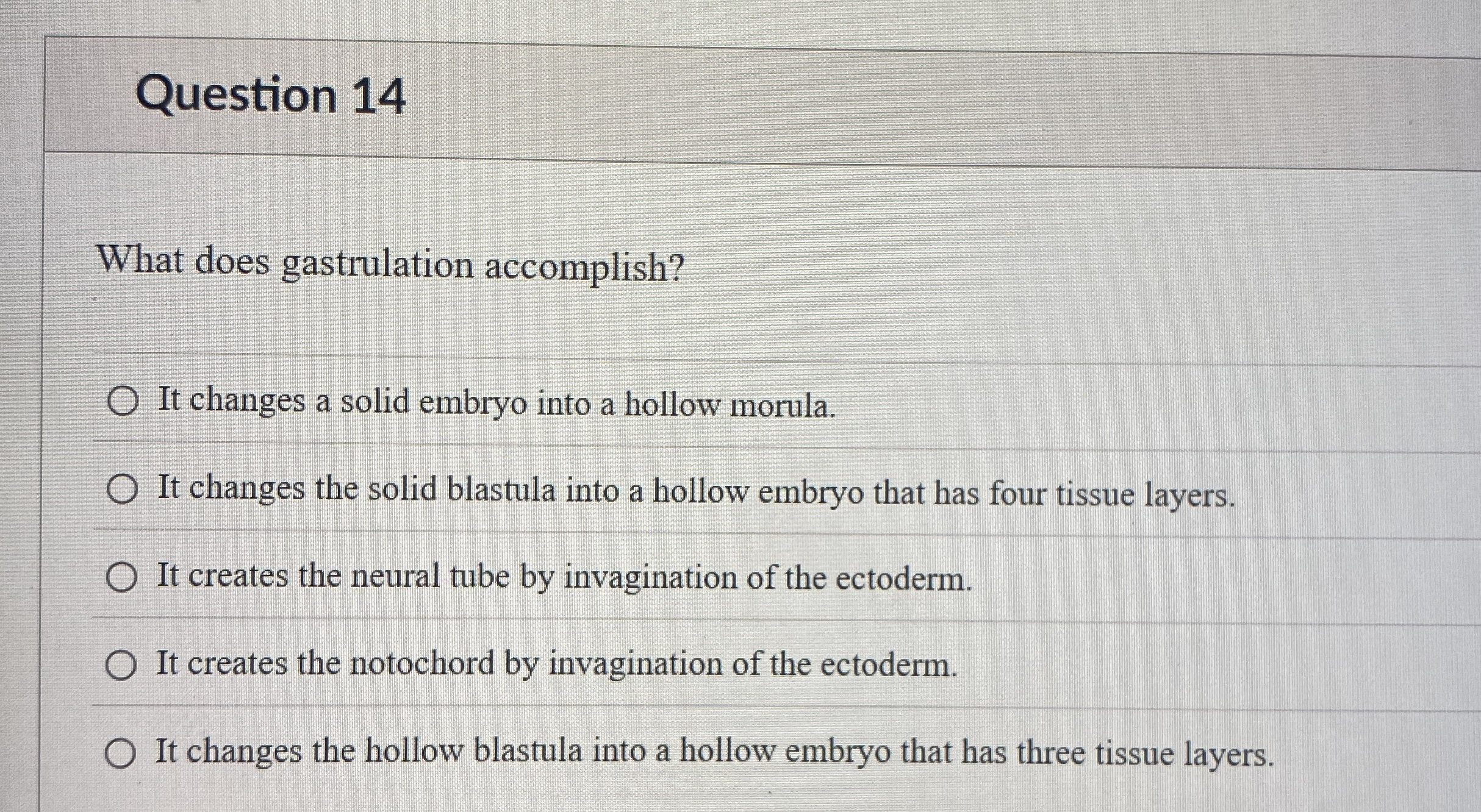 Question 1 4 What does gastrulation accomplish?