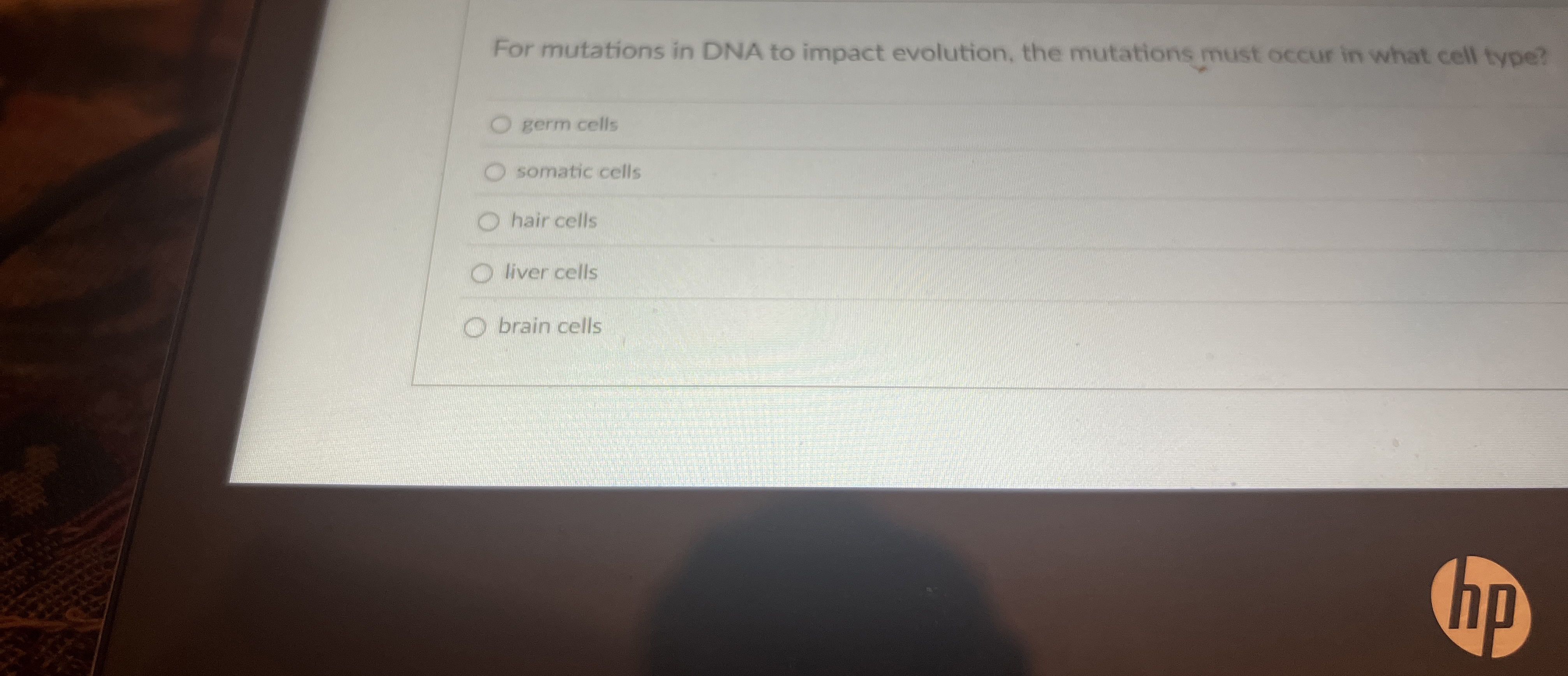 For mutations in DNA to impact evolution, the