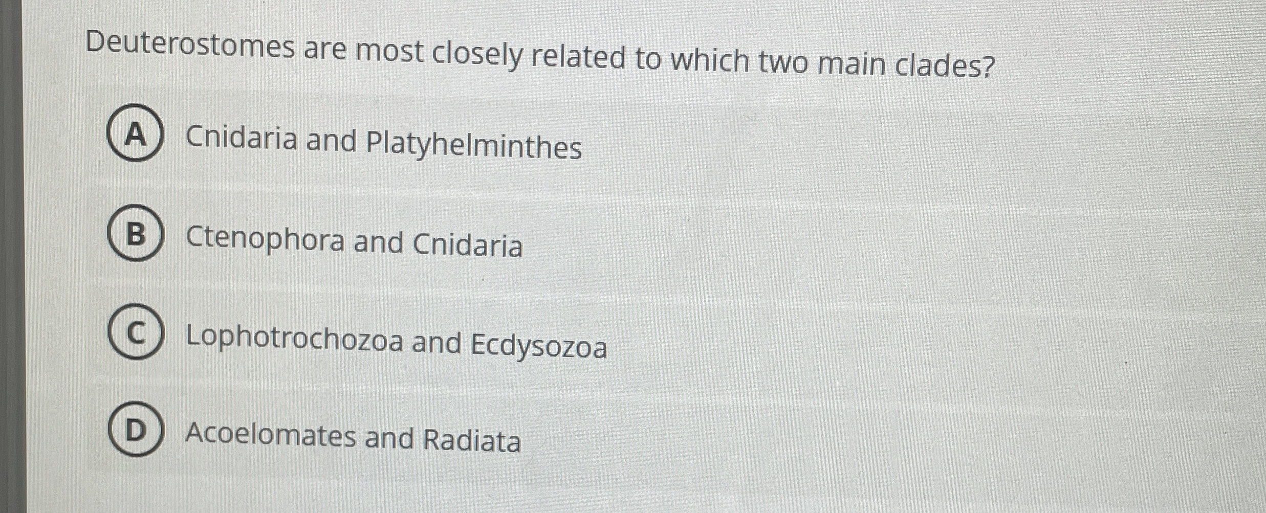 Deuterostomes are most closely related to which