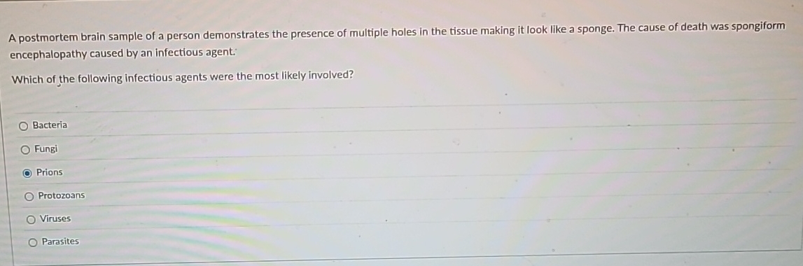 A postmortem brain sample of a person