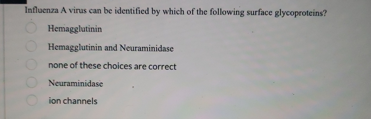 Influenza A virus can be identified by which of