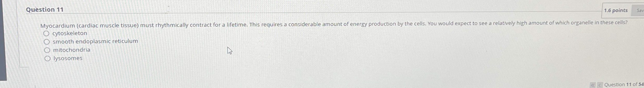 Question 1 1 1 . 6 points cytoskeleton smooth
