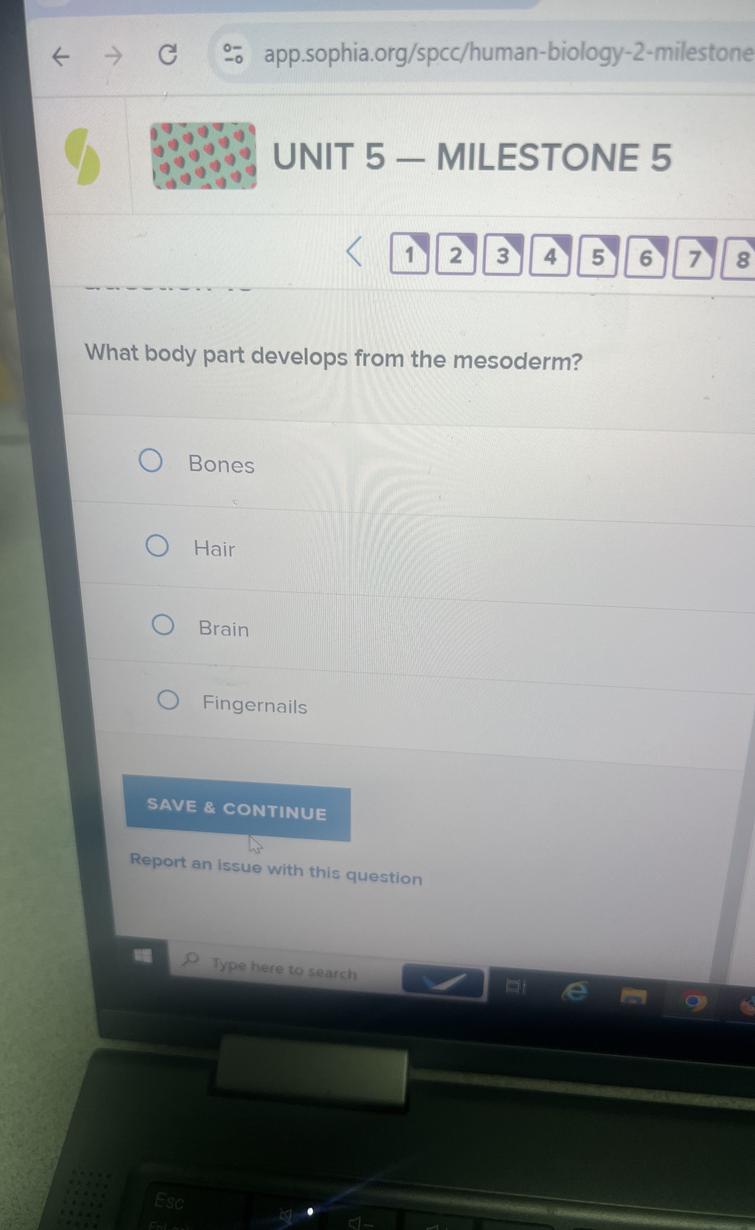 - - app.sophia.org / spcc / human - biology - 2 -