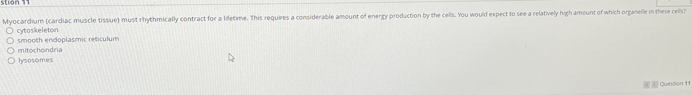 myocardium mist ryhtimaically contract for a