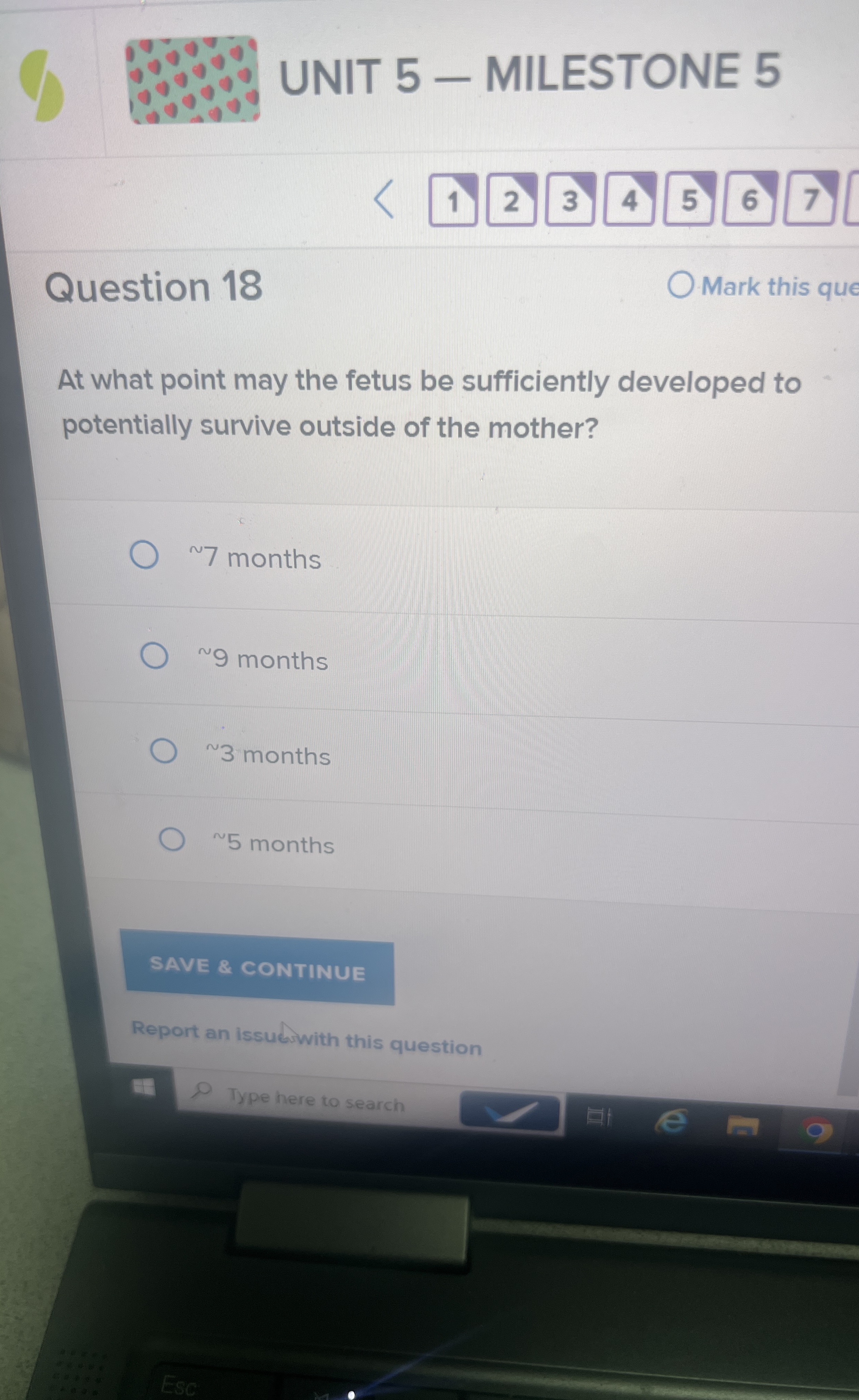 UNIT 5 - MILESTONE 5 1 2 3 4 5 6 7 Question 1 8