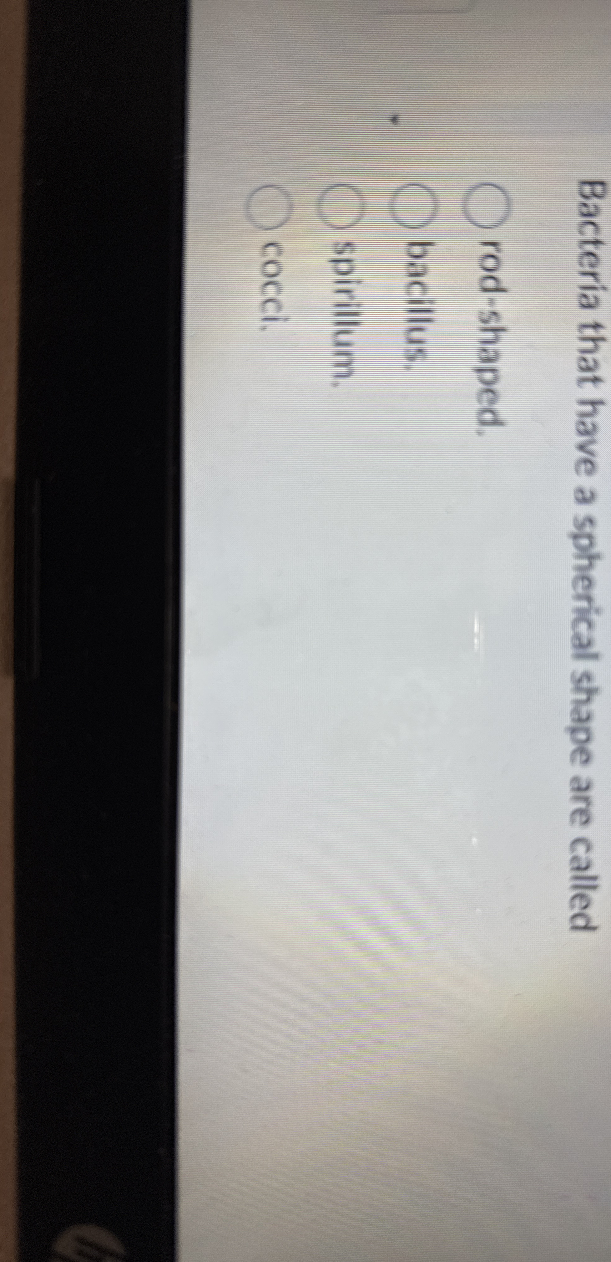 Bacteria that have a spherical shape are called