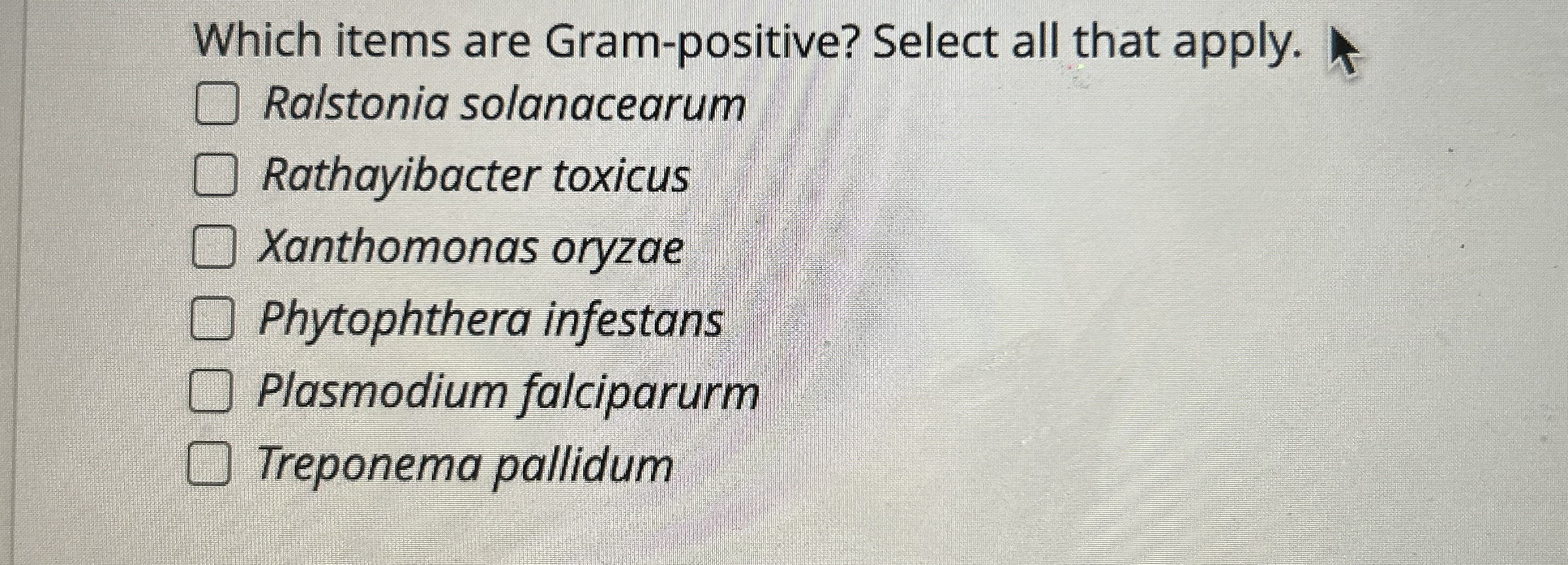 Which items are Gram - positive? Select all that