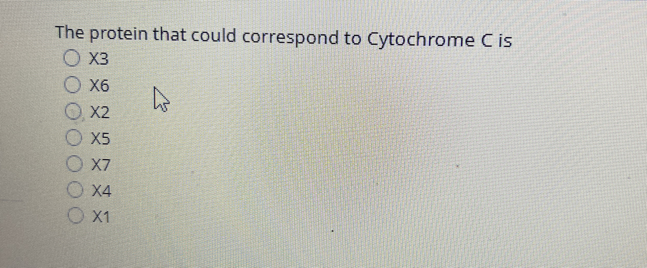 The protein that could correspond to Cytochrome C