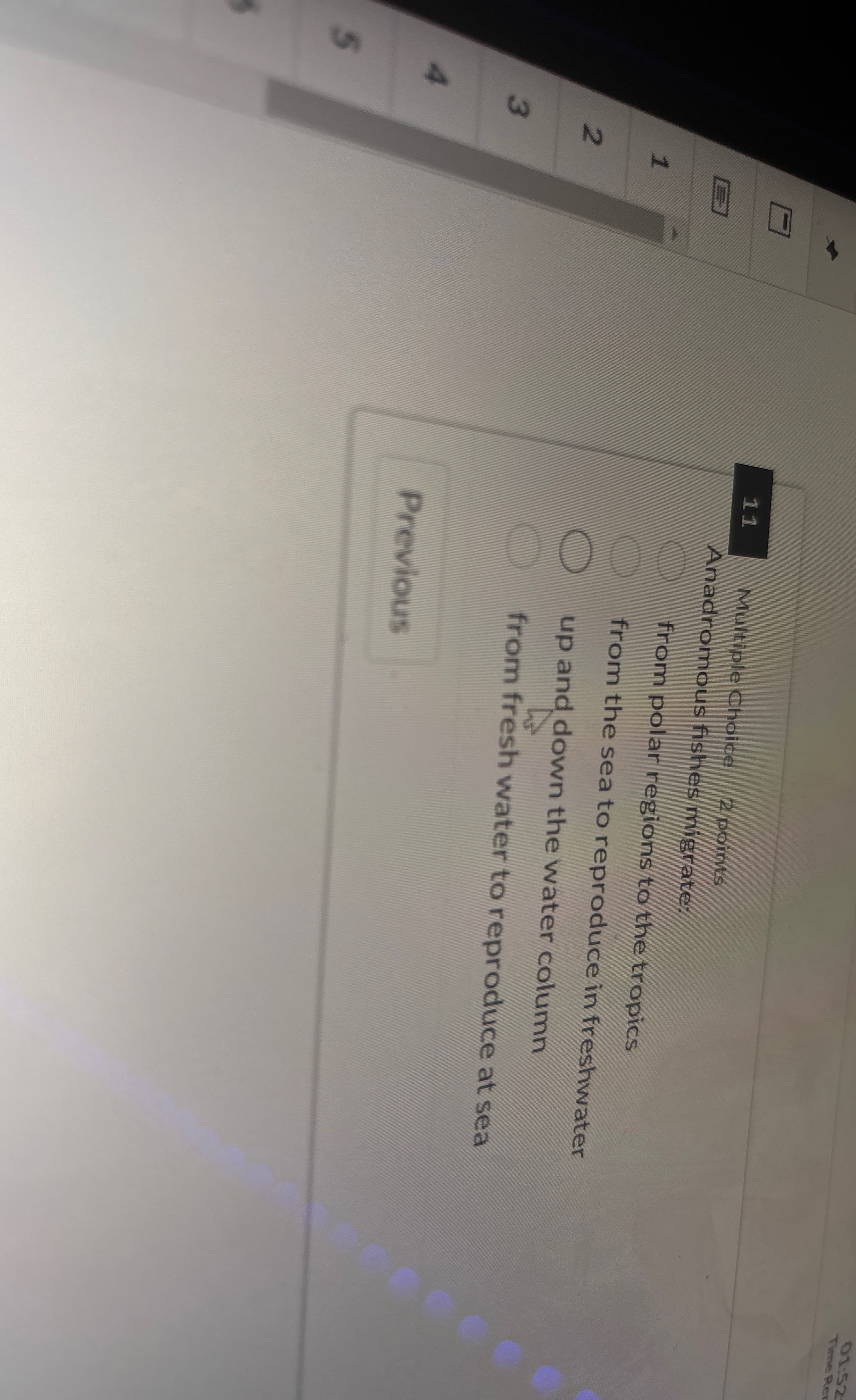 0 1 . 5 2 Thine 1 1 Multiple Choice 2 points