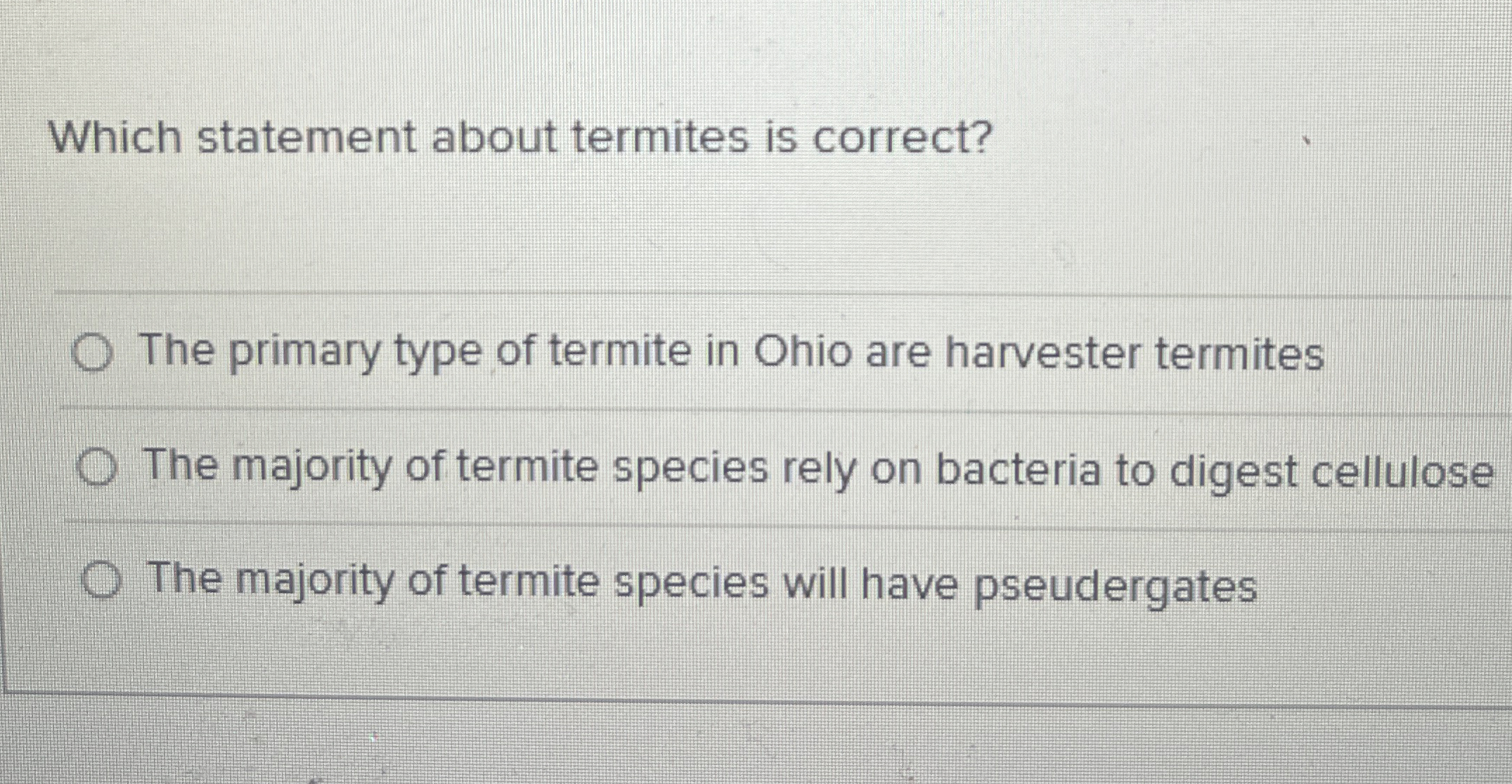 Which statement about termites is correct? The