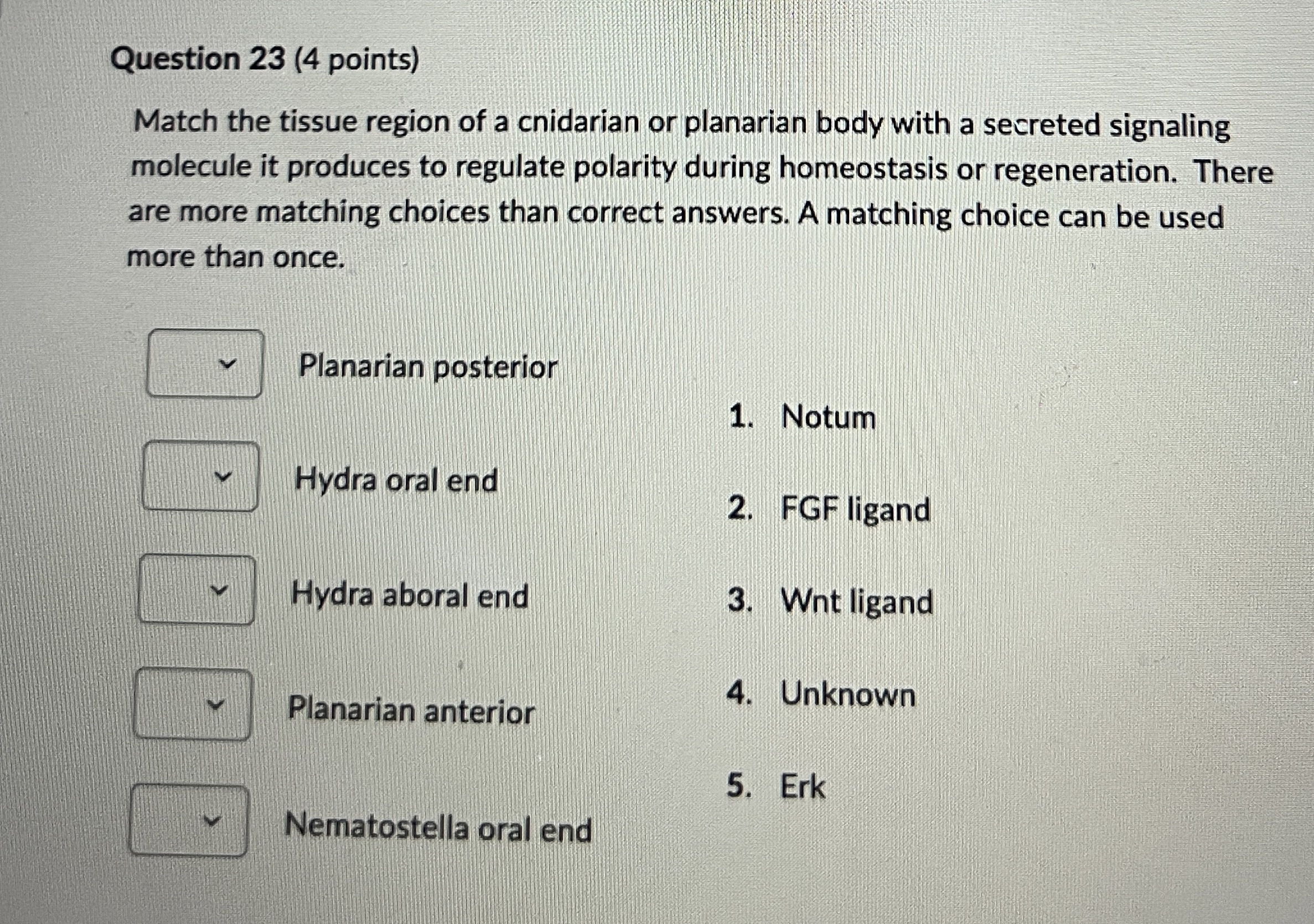 Question 2 3 ( 4 points ) Match the tissue region