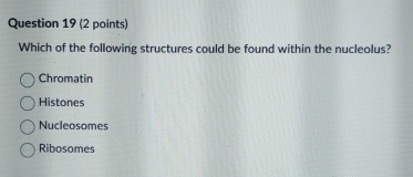 Question 1 9 ( 2 points ) Which of the following