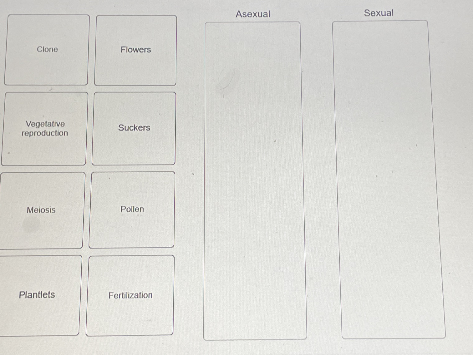 Asexual Sexual Meiosis Pollen Plantlets