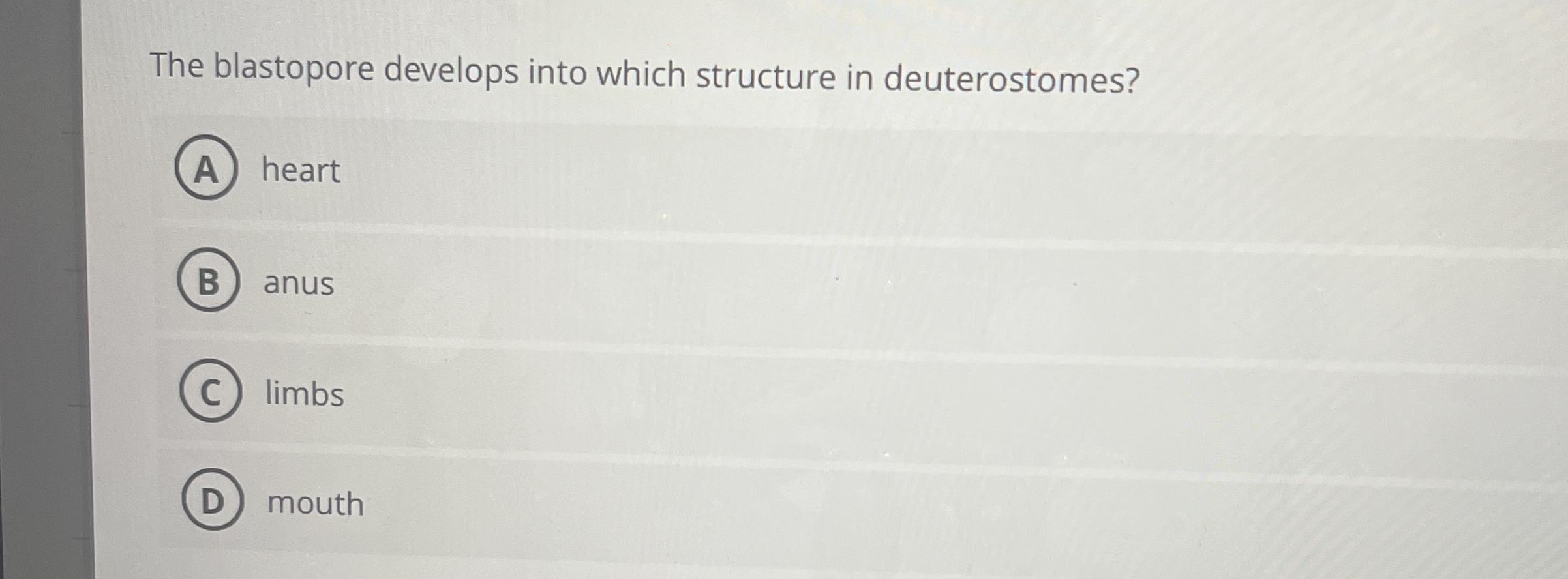 The blastopore develops into which structure in