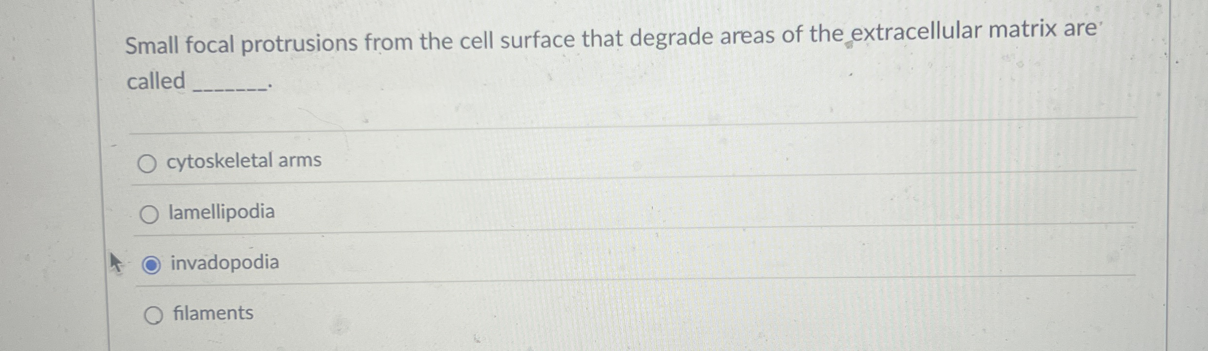 Small focal protrusions from the cell surface