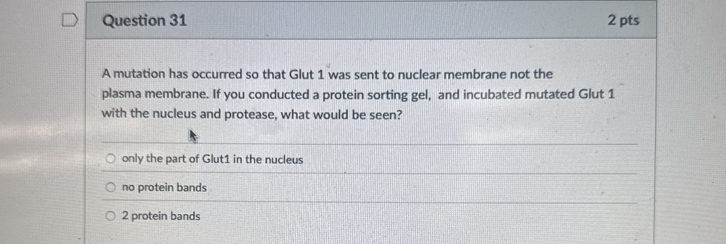 Question 3 1 2 pts A mutation has occurred so