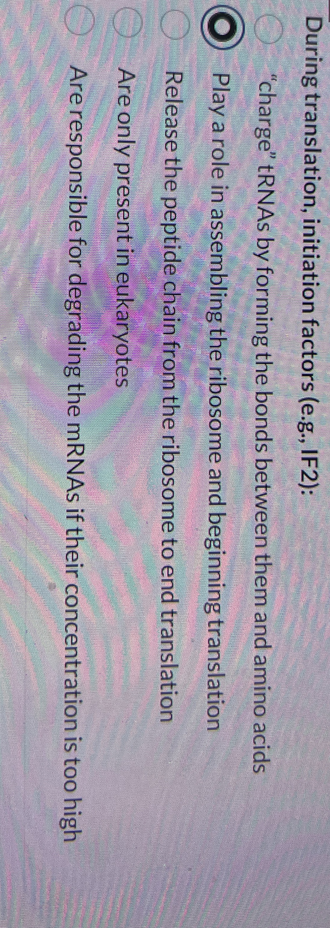 During translation, initiation factors ( e . g .