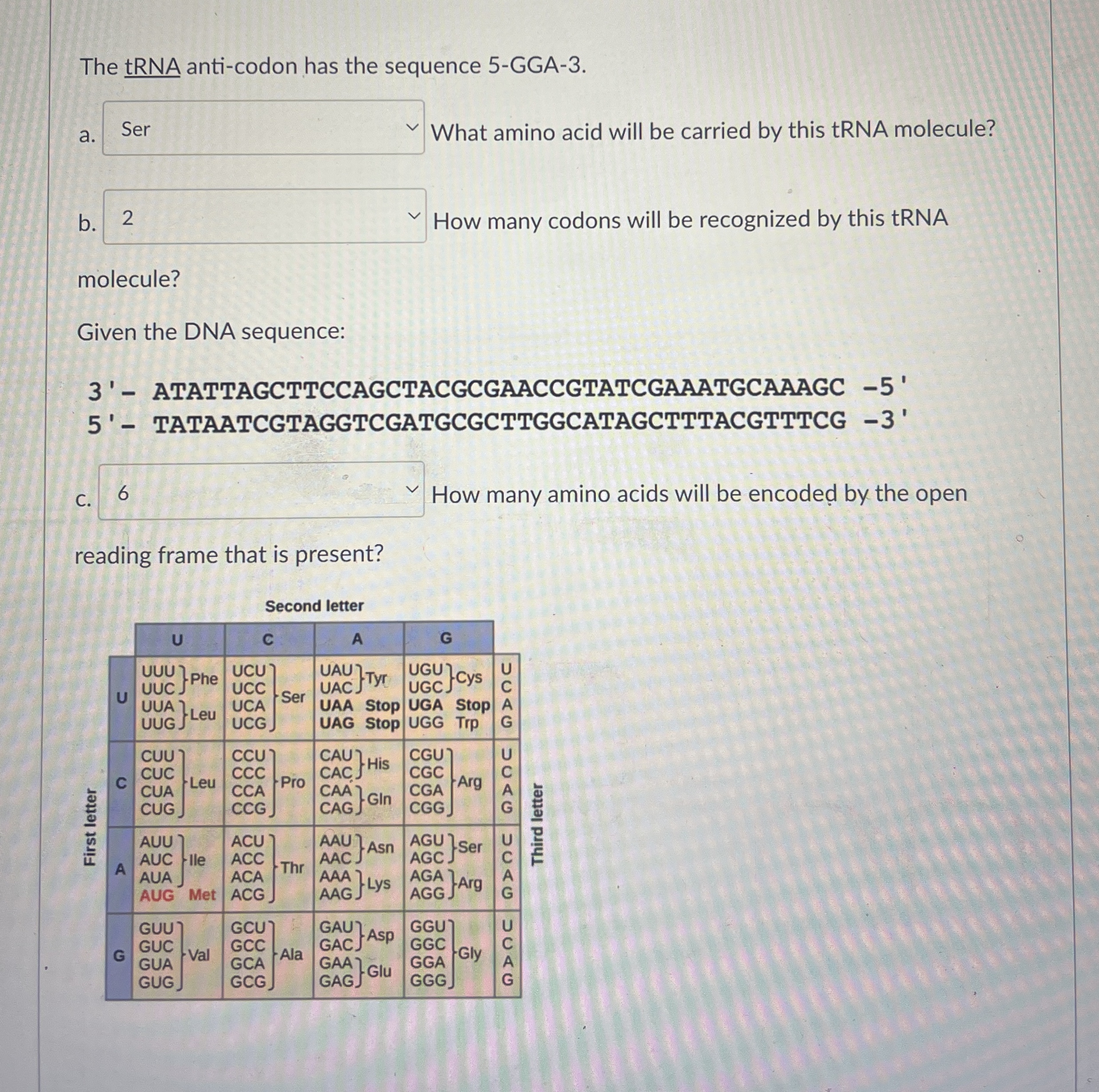 The tRNA anti - codon has the sequence 5 - GGA -