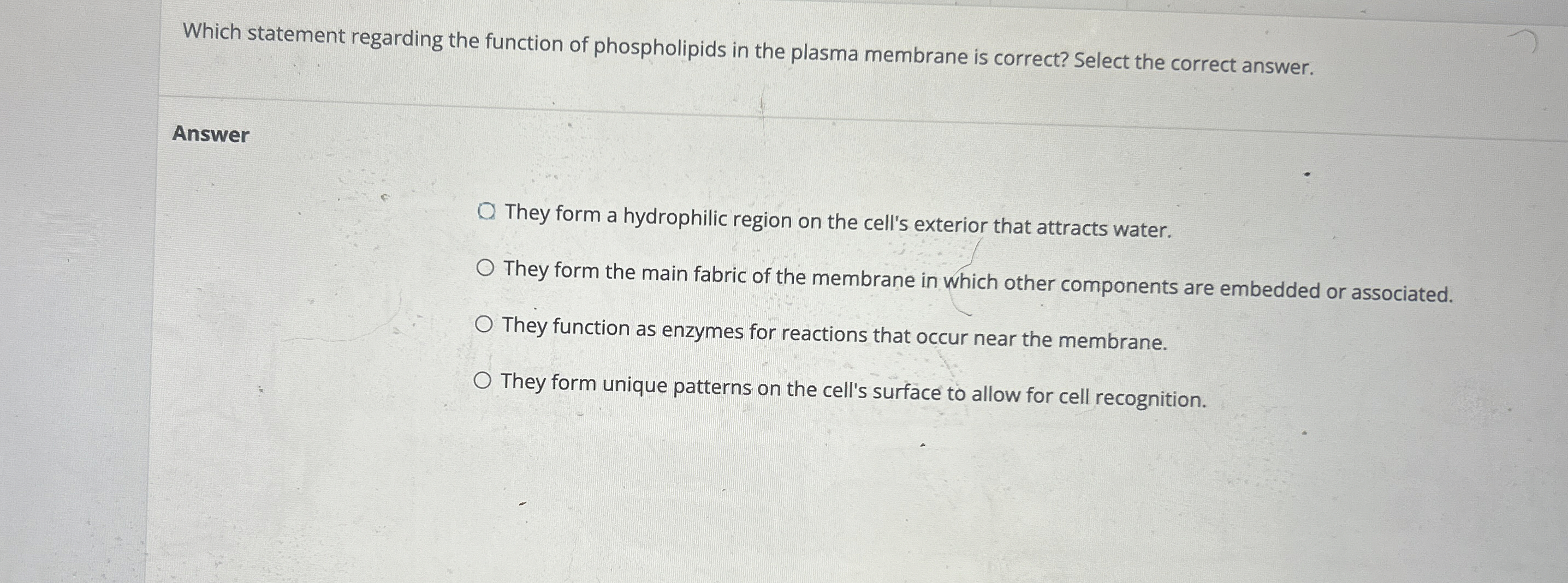 Which statement regarding the function of