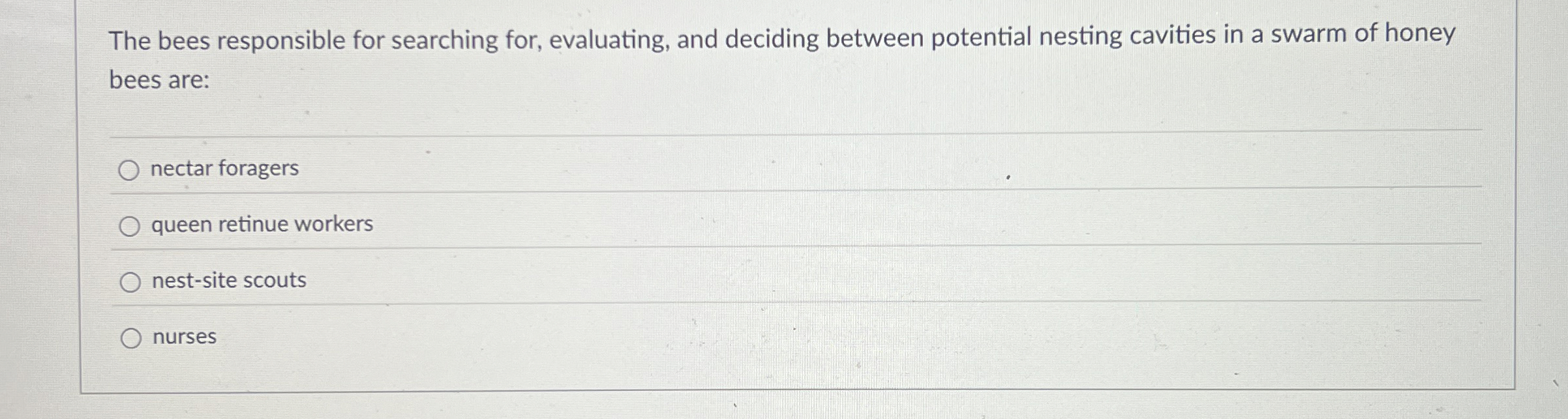 The bees responsible for searching for,