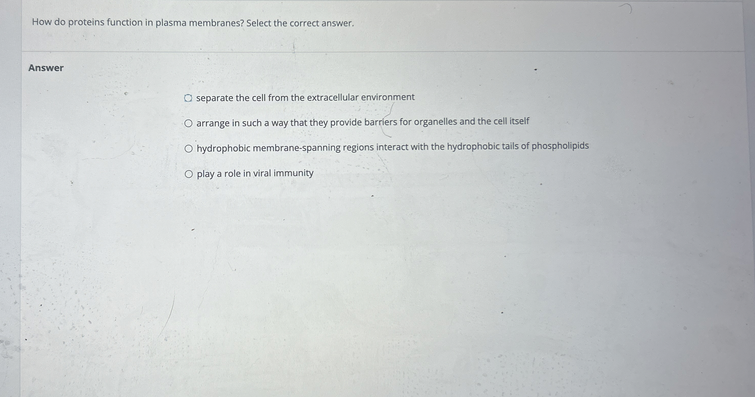 How do proteins function in plasma membranes?