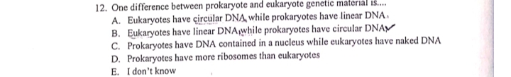 One difference between prokaryote and eukaryote