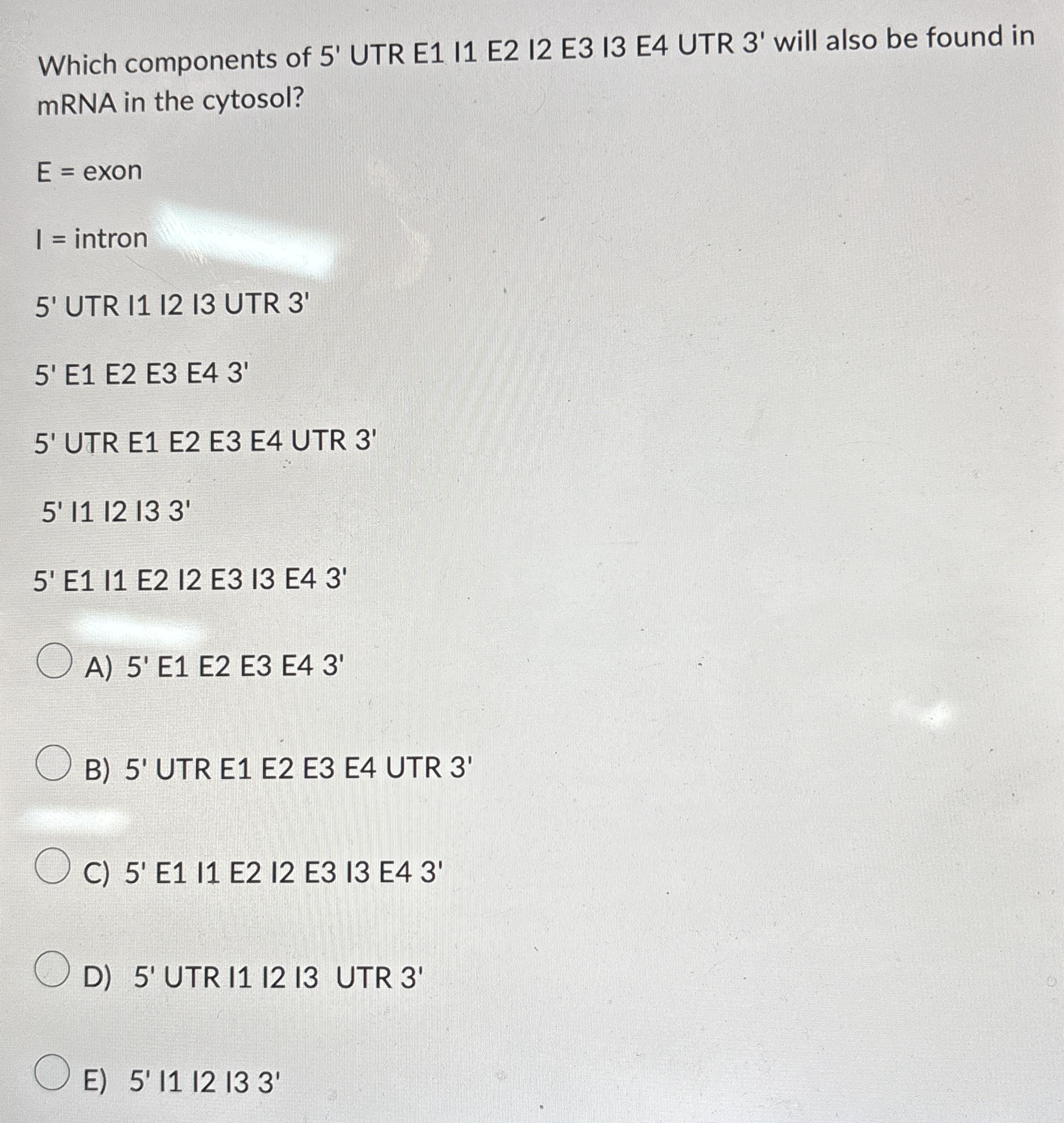 Which components of 5 ' UTR E 1 I 1 E 2 I 2 E 3 I