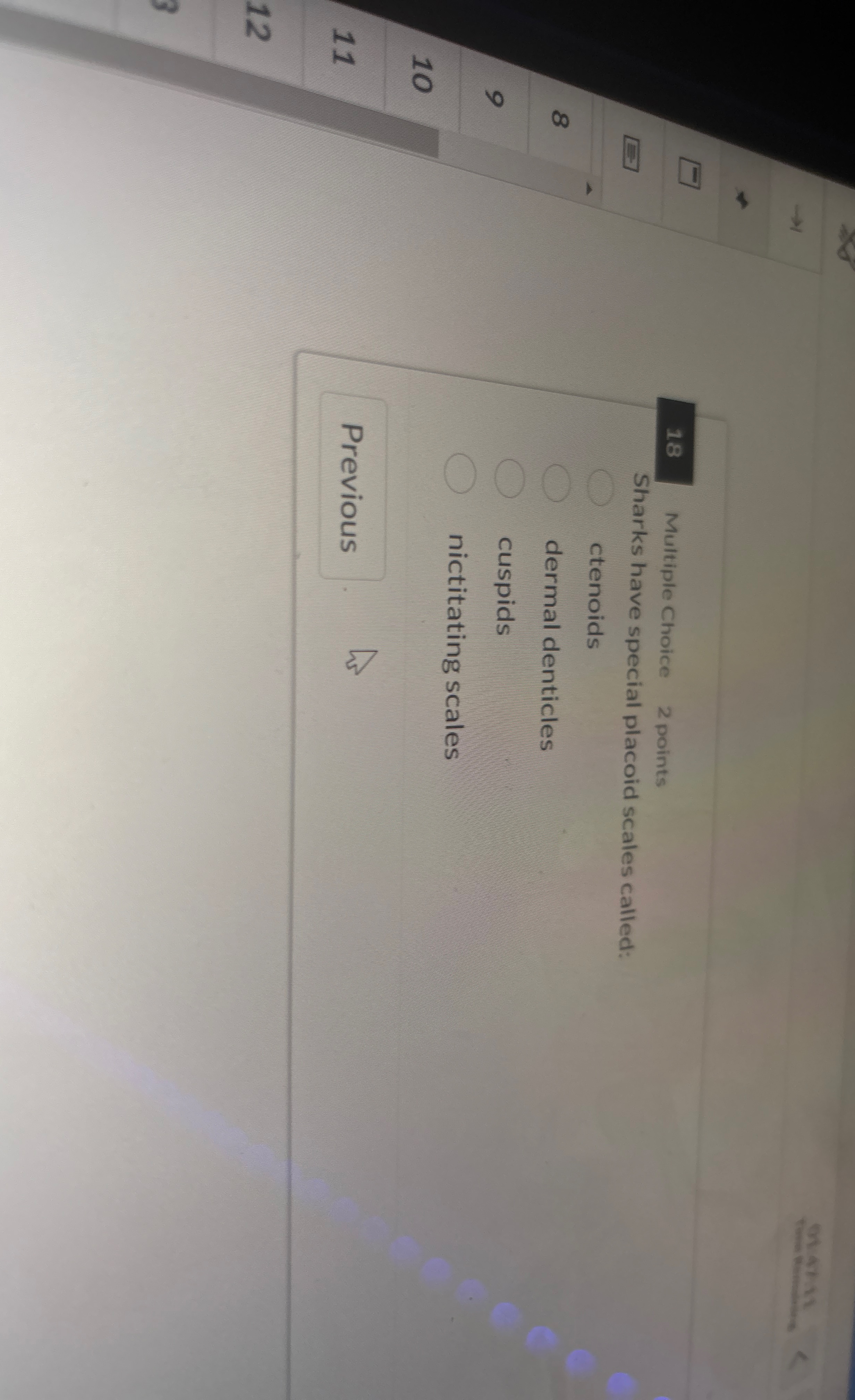 1 8 Multiple Choice 2 points Sharks have special