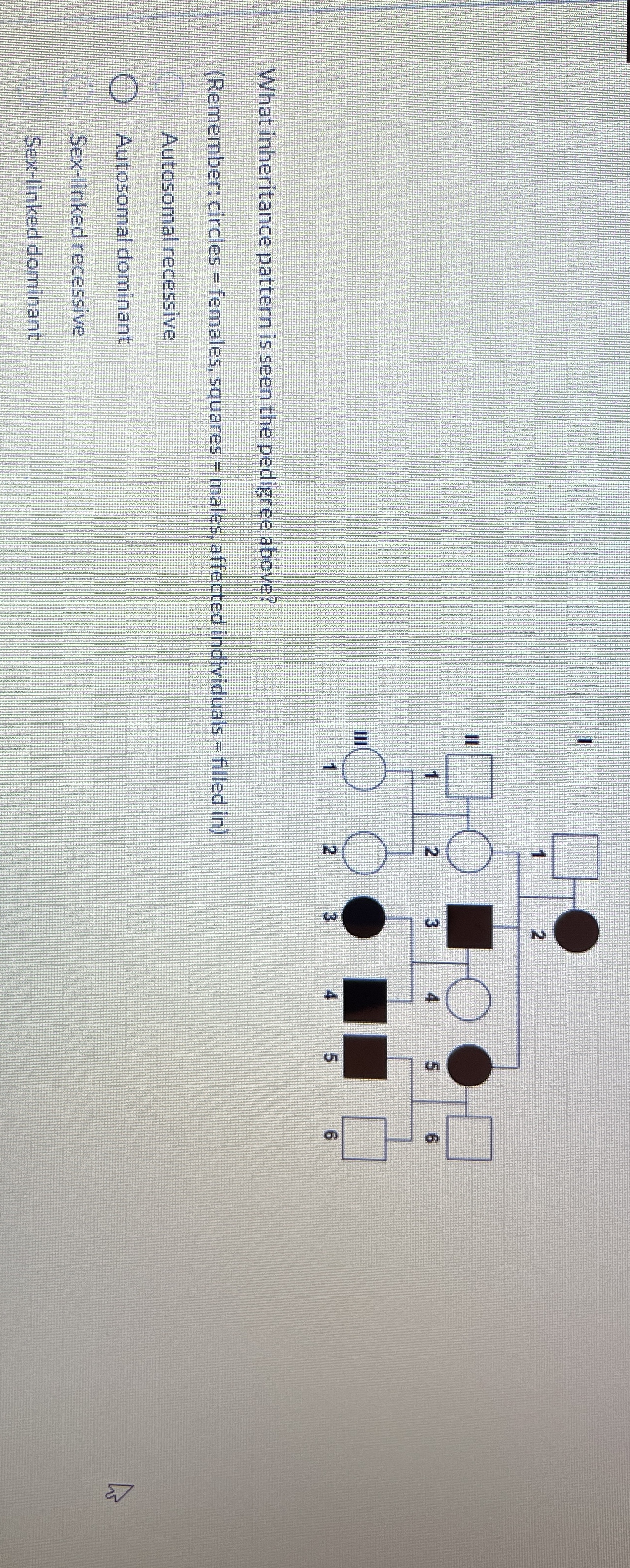 What inheritance pattern is seen the pedigree
