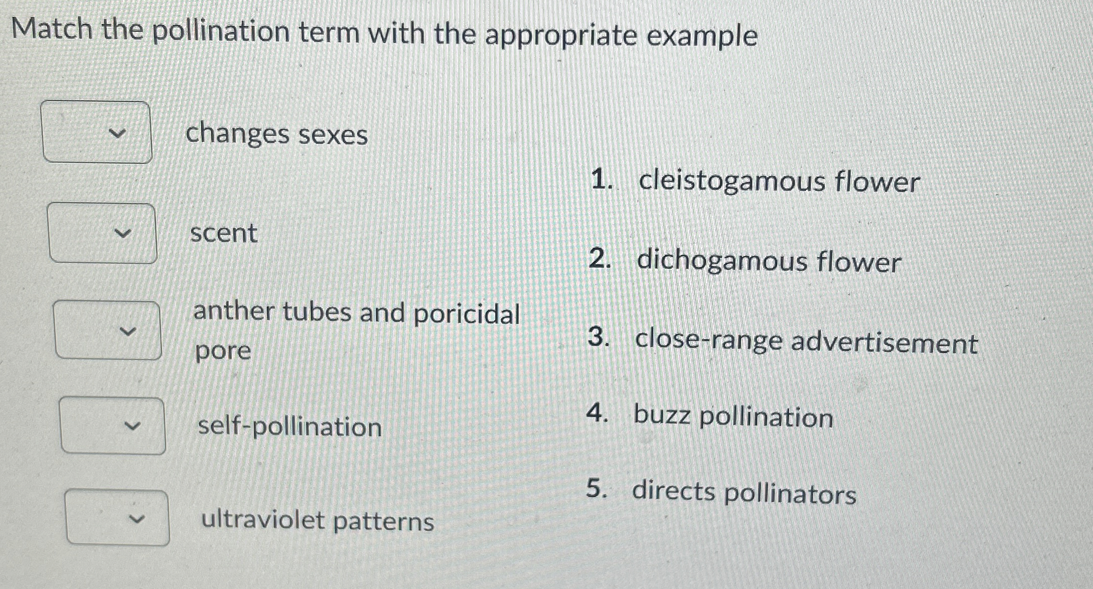 Match the pollination term with the appropriate