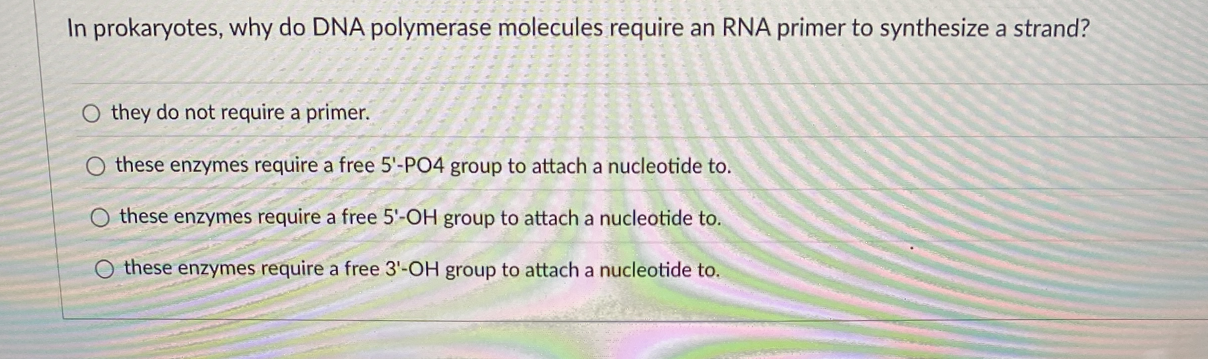 In prokaryotes, why do DNA polymerase molecules