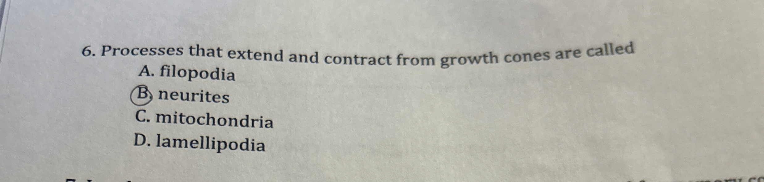 Processes that extend and contract from growth