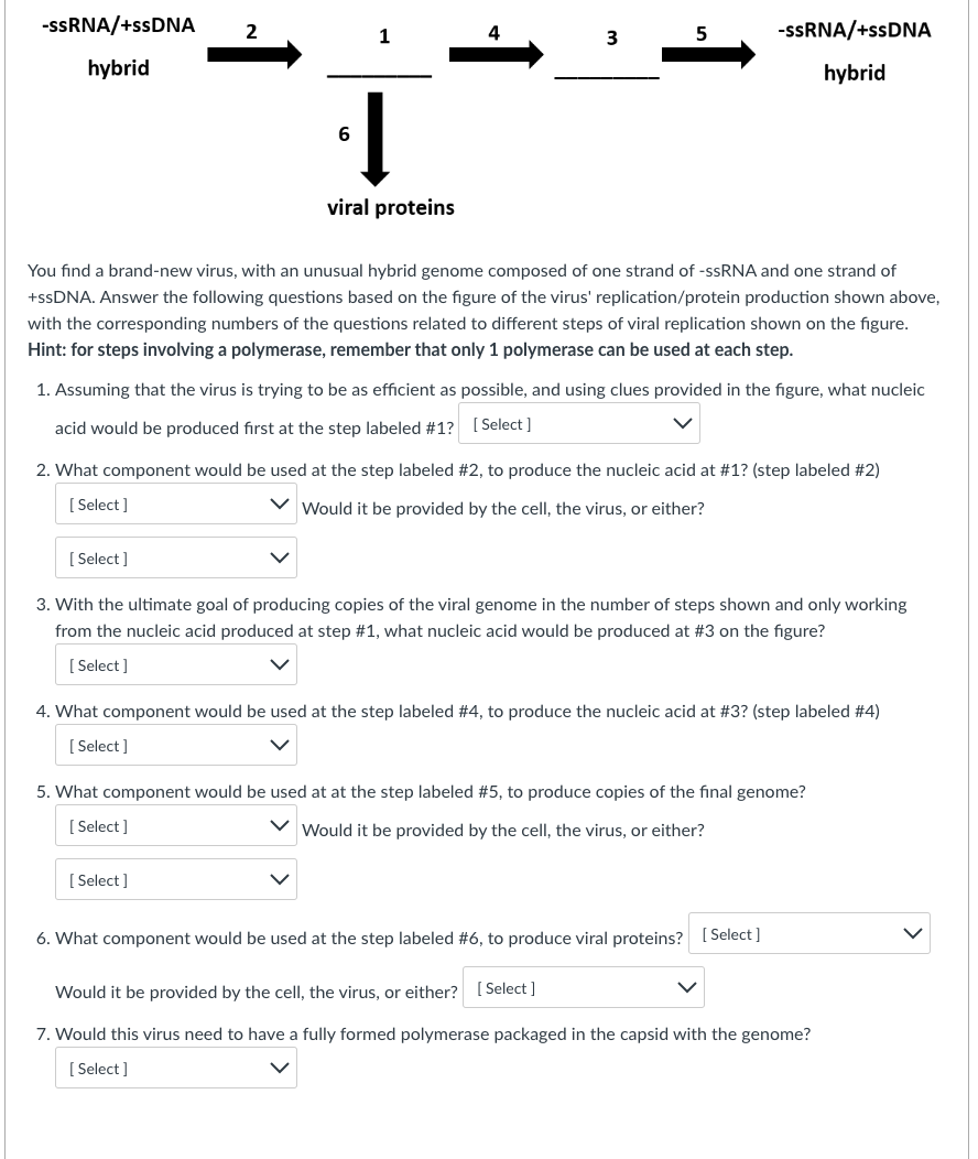 I onlu need Questions 5 and 6 . Answer both parts