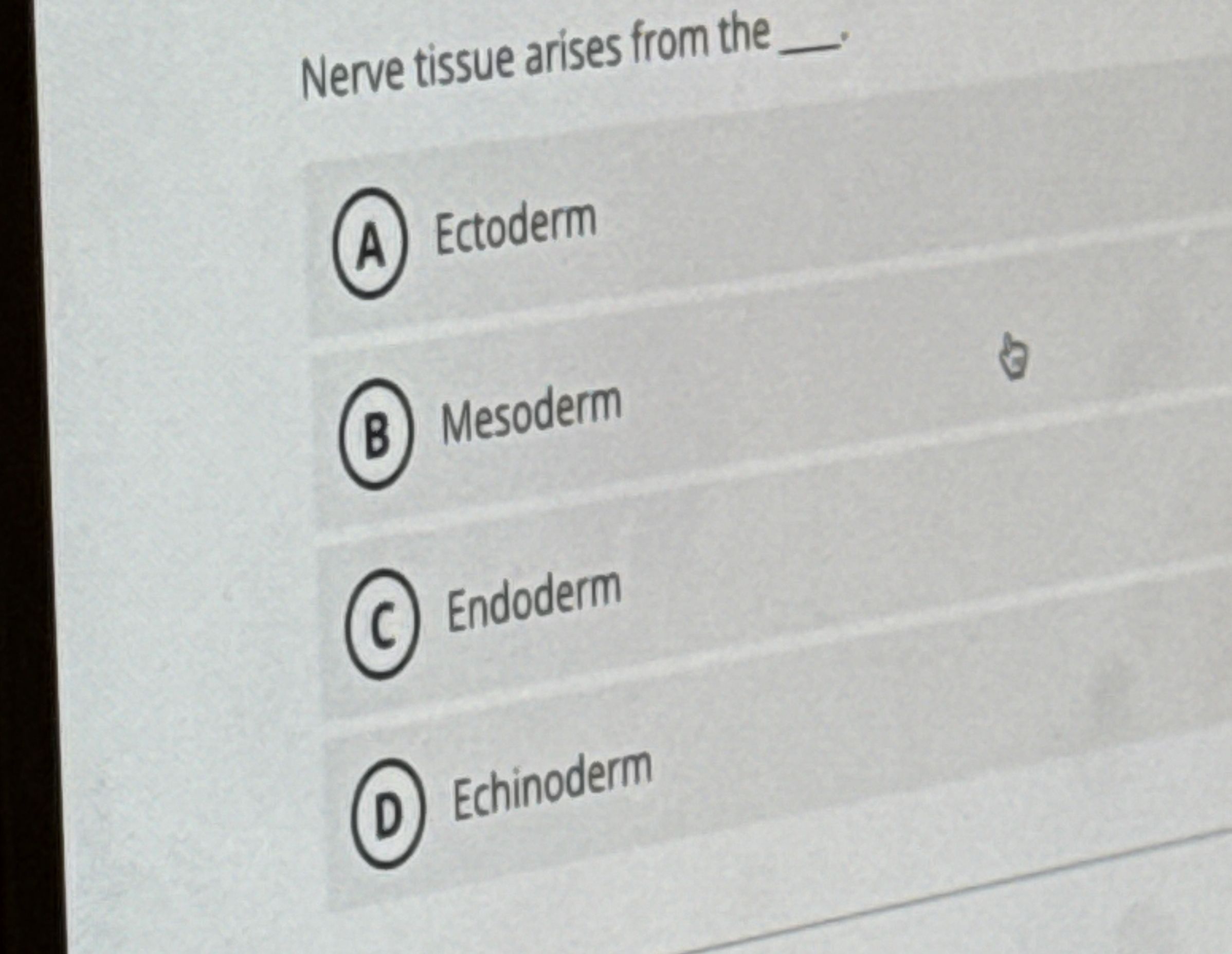 Nerve tissue arises from the q , ( A ) Ectoderm (