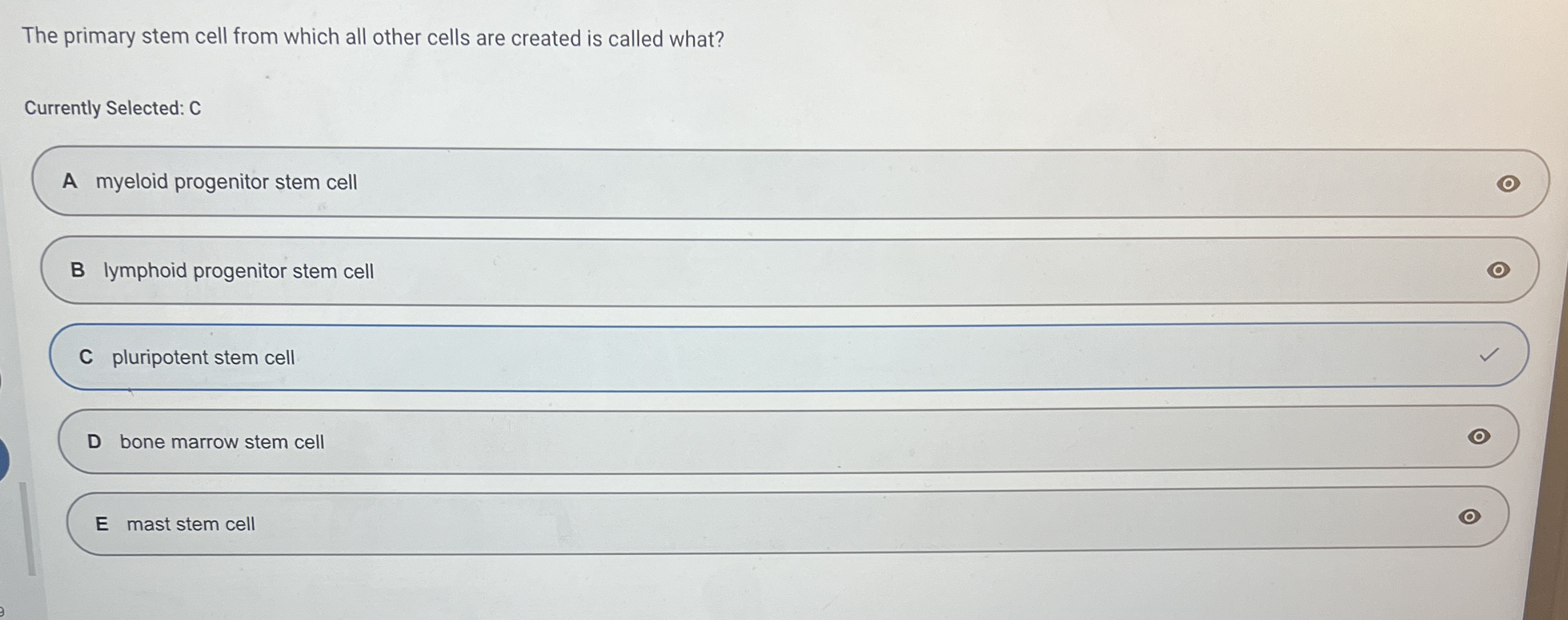 The primary stem cell from which all other cells