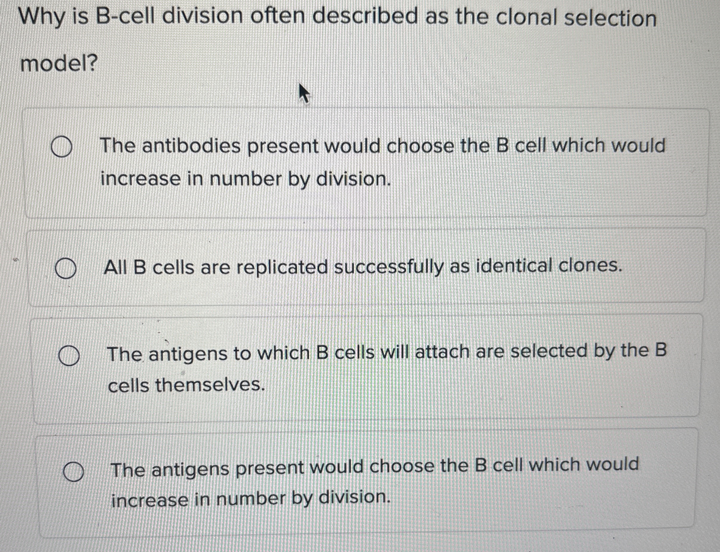 Why is B - cell division often described as the