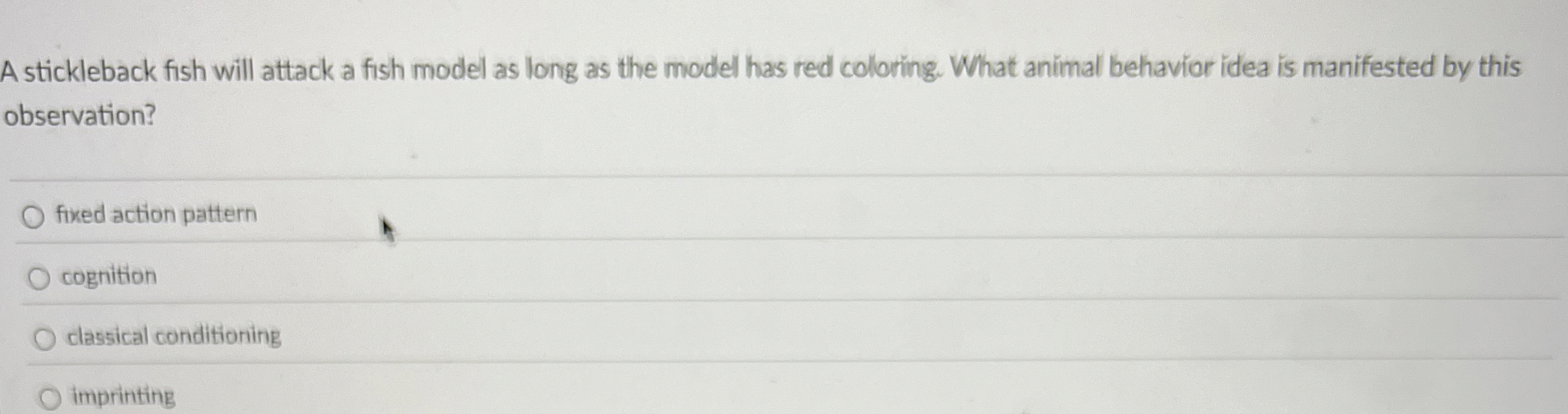A stickleback fish will attack a fish model as