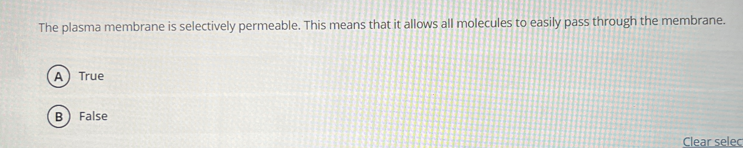 The plasma membrane is selectively permeable.