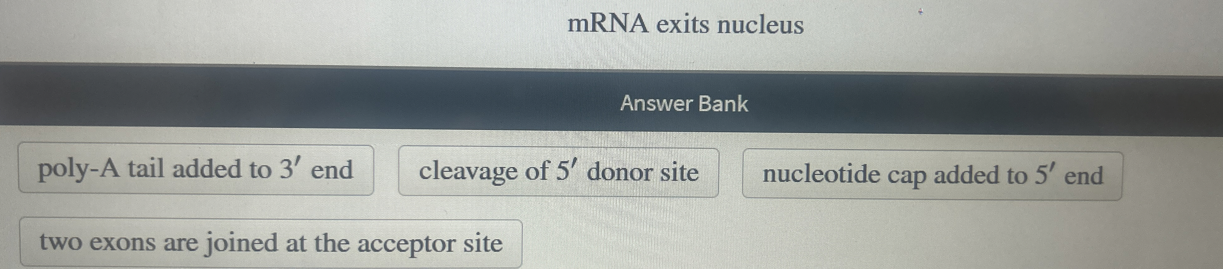Order the steps that pre - mRNA undergoes after