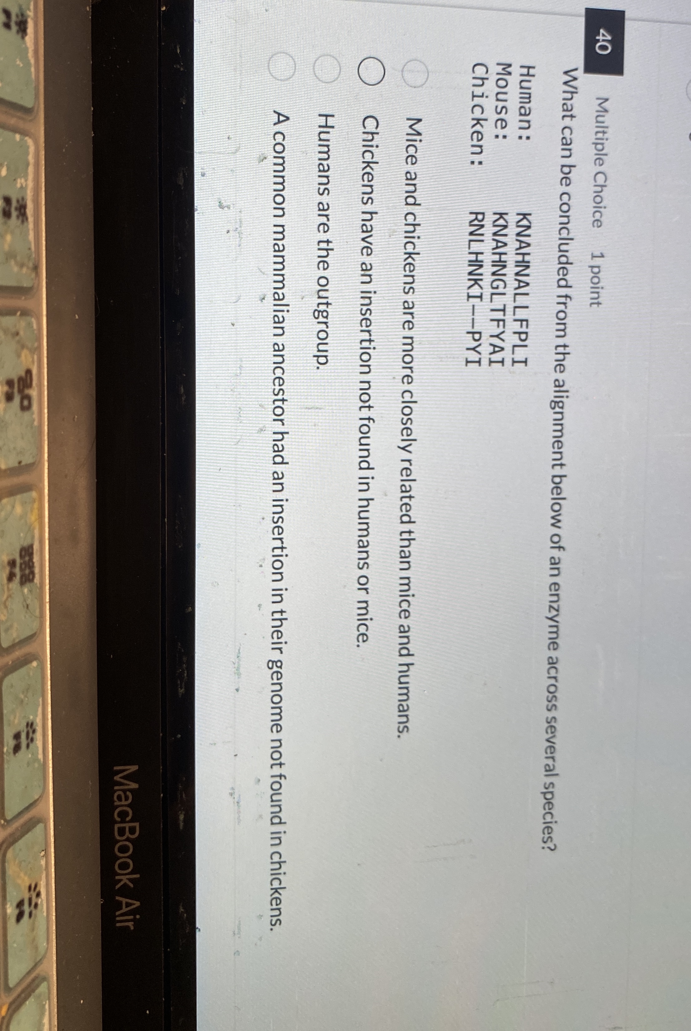 4 0 Multiple Choice 1 point What can be concluded