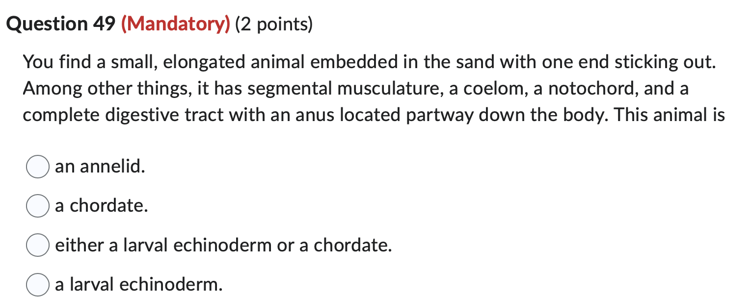 Question 4 9 ( Mandatory ) ( 2 points ) You find