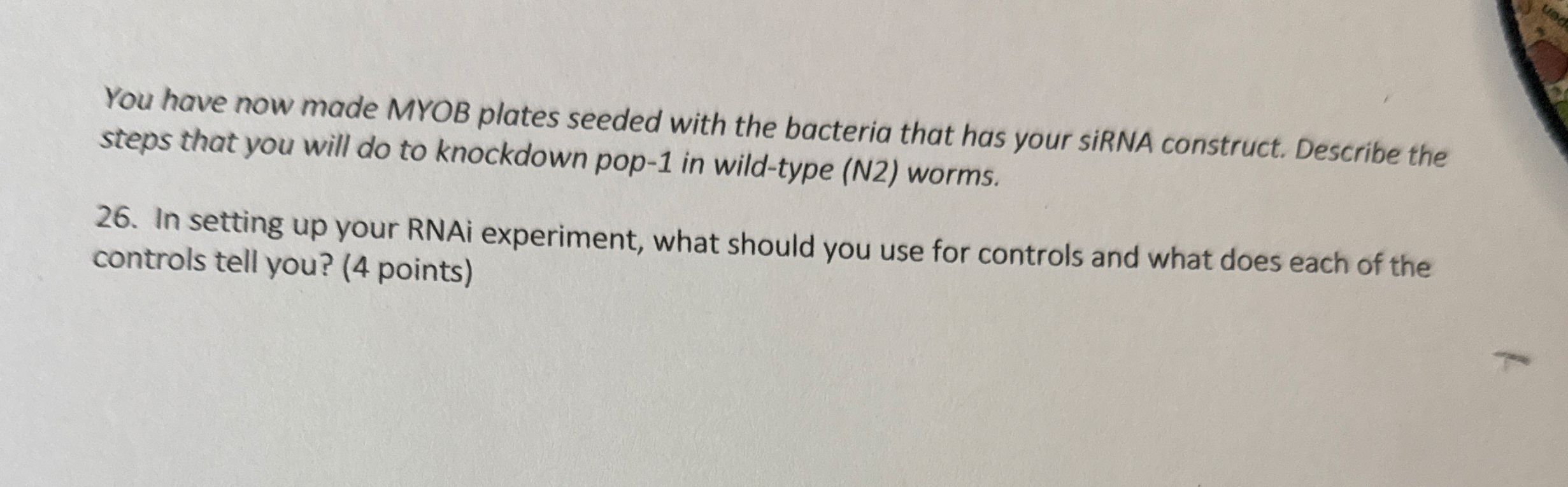 Part 4 : RNAi experiment ( 2 5 points ) 2 5 . As